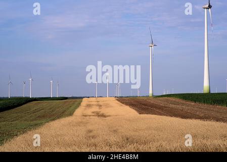 Linee di campi agricoli con mulini a vento, Austria, Europa Foto Stock