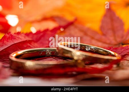 Primo piano di due anelli di nozze sopra l'uno l'altro Foto Stock