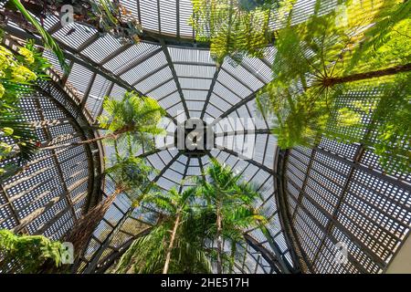 Vista interna della casa verde nel Balboa Park Botanical Building a San Diego, California Foto Stock