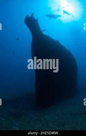 I subacquei scendono fino al relitto del Mahi, al largo della costa occidentale di Oahu, Hawaii. Foto Stock