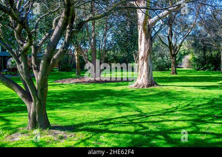 Splendido parco intorno a Umpherston Sinkhole in Mt Gambier, Australia Foto Stock