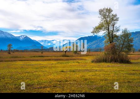 Murnauer Moos bog in Baviera (Germania) Foto Stock