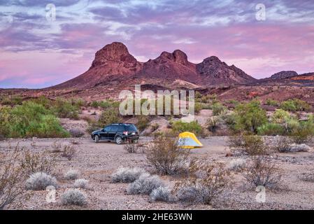 Quattro cime, campeggio, all'alba, strada 0080, Monti Plomosa, Sonoran Desert, Arizona, Stati Uniti Foto Stock