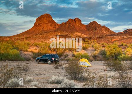 Quattro cime, campeggio, all'alba, strada 0080, Monti Plomosa, Sonoran Desert, Arizona, Stati Uniti Foto Stock