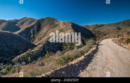 Brady Butte, massiccio delle Bradshaw Mountains, vista da Pine Flat Road 177, Prescott National Forest, Arizona, Stati Uniti Foto Stock