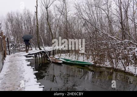 Un uomo che tiene un ombrello cammina su un ponte coperto di neve durante una nevicata pesante a Srinagar. La regione del Kashmir ha ricevuto la prima nevicata di questa stagione, riducendo drasticamente le temperature e influendo sul traffico aereo e veicolare. Foto Stock