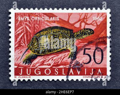 Francobollo cancellato stampato dalla Jugoslavia, che mostra European Pond Turtle (Emys orbicularis), circa 1962. Foto Stock