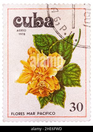Il francobollo stampato a Cuba mostra l'immagine del pacifista di Tue flowers Foto Stock