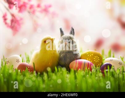 Carino pulcino pasquale sul prato verde in natura con paesaggio fiorito in primavera e coniglietto pasquale con uova di pasqua. Concetto di Pasqua. Foto Stock