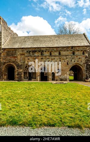 Valle Crucis Abbey fondata nel 1201 da Madog ap Gruffydd Maelor, Principe di Powys Fadog consisteva della chiesa più diversi edifici adiacenti Foto Stock