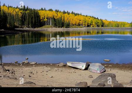 Barche sulla riva del Lago Sunset circondato dal colore autunnale nella Foresta Nazionale di Grand Mesa. Foto Stock