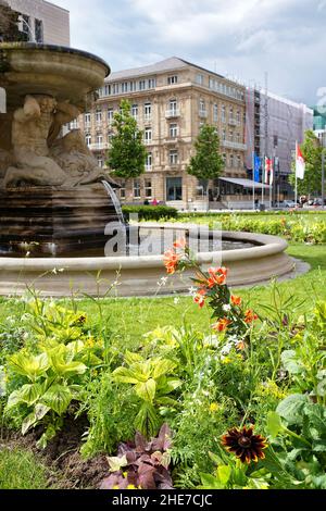 Fiori estivi di fronte al Corneliusbrunnen neobarocco a Corneliusplatz in Düsseldorf/Germania. Foto Stock