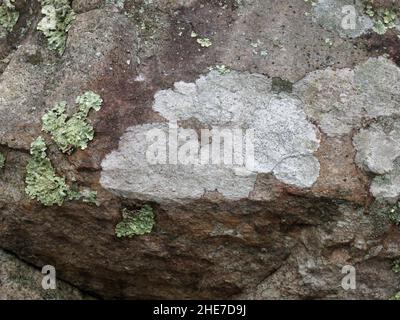 Primo piano Fotografia del lato di un grande masso di roccia grigia con Lichen verde chiaro e bianco Foto Stock