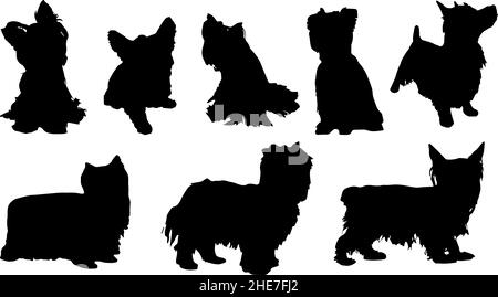 yorkshire terrier cane silhouette bundle svg Illustrazione Vettoriale