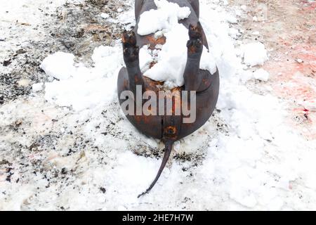 Maiale morto a bordo all'aperto preparare il cuoco. Illuminazione stradale, maiale carcassa, macellazione è stata effettuata, la pelle dell'animale è offesa dal fuoco t Foto Stock