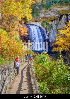 60 metri di cascate Looking Glass Falls nella Pisgah National Forest lungo la Forest Heritage Scenic Byway a Brevard North Carolina USA Foto Stock