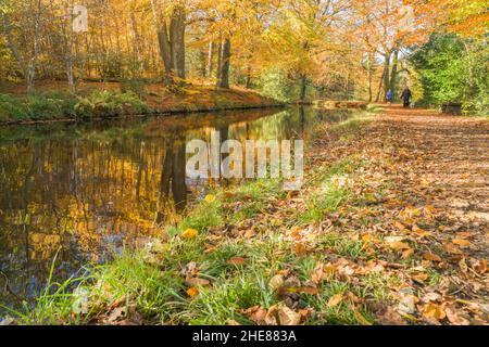 Camminatori del cane che scherzano i colori di autunno lungo il Monmouthshire e il canale di Brecon, Abergavenny Gwent Regno Unito. Novembre 2021. Foto Stock