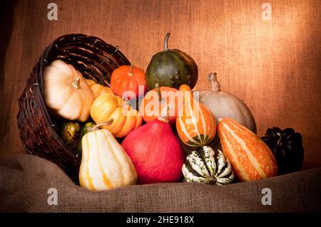 Primo piano di un grande assortimento di mini zucche decorative colorate Foto Stock