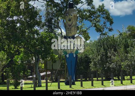 Il Big Peanut a Tolga, Atherton Tablelands Foto Stock