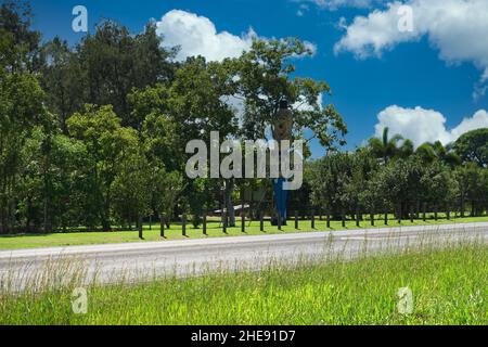 Il Big Peanut a Tolga, Atherton Tablelands Foto Stock