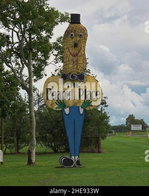 Il Big Peanut a Tolga, Atherton Tablelands Foto Stock