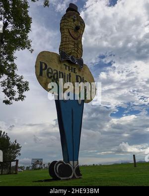 Il Big Peanut a Tolga, Atherton Tablelands Foto Stock