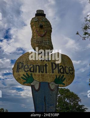 Il Big Peanut a Tolga, Atherton Tablelands Foto Stock