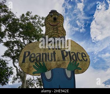 Il Big Peanut a Tolga, Atherton Tablelands Foto Stock