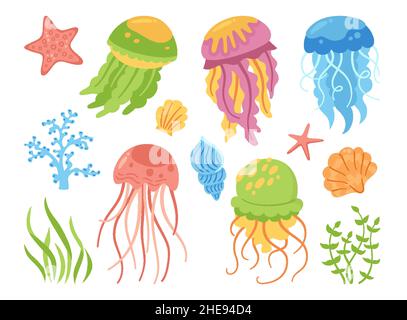 Cartoni animati di meduse disegnati a mano. Medusa di gelatina sottomarina marina, alghe, molluschi, conchiglie e meduse. Tropicale sotto l'acqua elementi di design mare piatto collezione. Illustrazione vettoriale Illustrazione Vettoriale