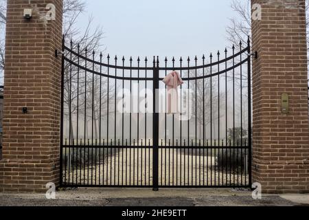 Porta con un nastro rosa su di esso in una giornata di nebbia nella campagna italiana Foto Stock