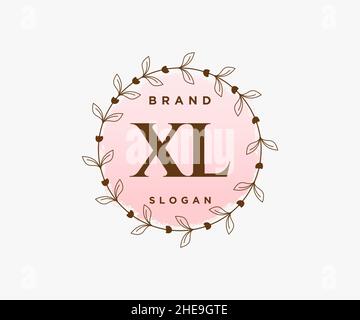 Logo XL femminile. Utilizzabile per la natura, salone, centro benessere, cosmetici e loghi di bellezza. Elemento modello di disegno con logo a vettore piatto. Illustrazione Vettoriale
