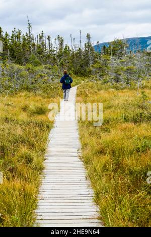 Sentiero delle cascate Baker's Brook. Gros Mourne National Park, Rocky Harbor, Newfoudland, Canada. (SIG.) Foto Stock