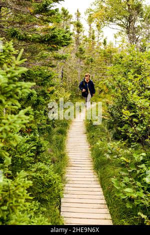 Sentiero delle cascate Baker's Brook. Gros Mourne National Park, Rocky Harbor, Newfoudland, Canada. (SIG.) Foto Stock