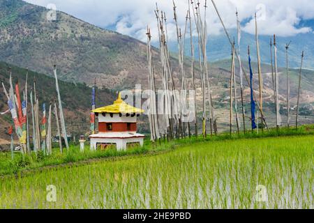 Chorten e bandiere di preghiera sul risone in Himalaya, Punakha, Bhutan Foto Stock