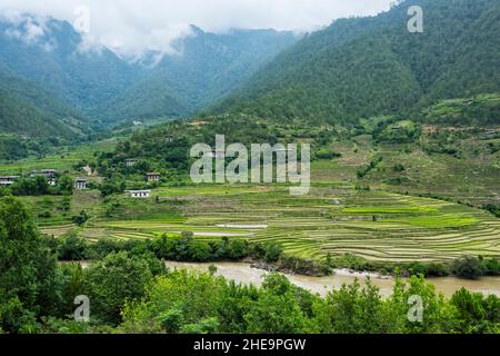 Villaggio e risaie nel Himalaya, Punakha, Bhutan Foto Stock