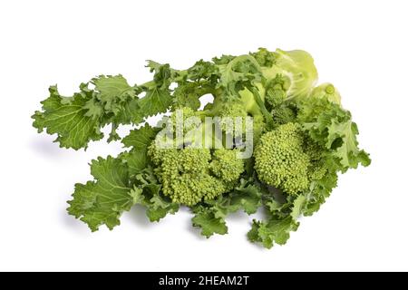 Rabini freschi o broccoli isolati su sfondo bianco Foto Stock