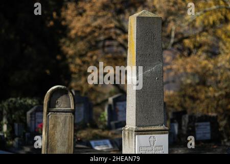 Sighisoara, Romania - 30 ottobre 2021: Dettagli con tombe, lapidi e vegetazione dal vecchio cimitero sassone nella cittadella medievale e pieno di w Foto Stock