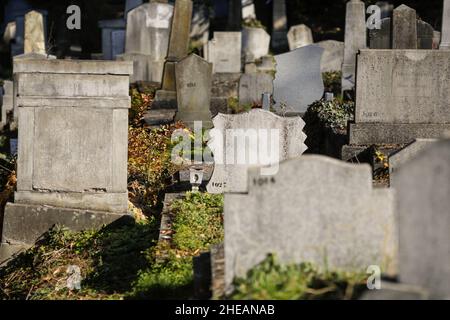 Sighisoara, Romania - 30 ottobre 2021: Dettagli con tombe, lapidi e vegetazione dal vecchio cimitero sassone nella cittadella medievale e pieno di w Foto Stock