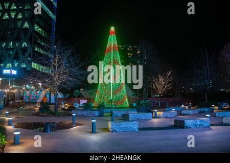 Alberi di Natale - tempo di notte a Salford Quays, Greater Manchester, Regno Unito Foto Stock