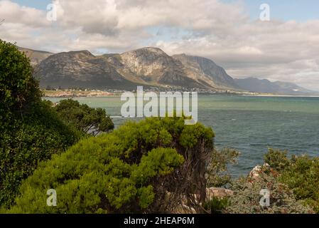 Vista attraverso Walker Bay alle montagne, Hermanus, dal sentiero della scogliera, Overberg, Capo Occidentale, Sudafrica, 07 gennaio 2022. Foto Stock