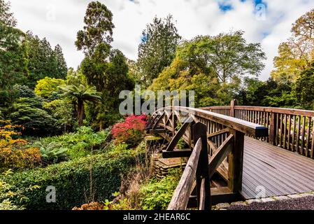 Passerella in legno sulla strada nel Dell a Trelissick Gardens, vicino a Truro, Cornovaglia, Regno Unito Foto Stock