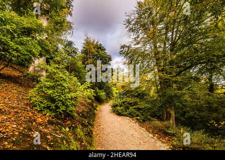 Passeggiata in ghiaia in autunno a Trelissick Gardens, vicino a Truro, Cornovaglia, Regno Unito Foto Stock