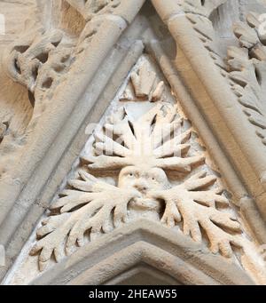 Scultura naturalistica medievale (XIII secolo) di un uomo verde sul muro della casa capitolare al minster a Southwell, Inghilterra. Foto Stock