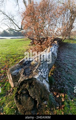 Il bellissimo campo da golf Beckenham Place Park, prima, Lewisham Council lo ha distrutto! Foto Stock