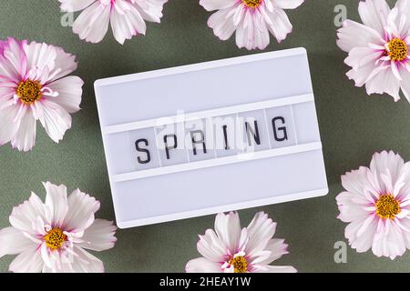 Testo primaverile su scatola luminosa e delicato fiori rosa naturali su sfondo verde. Vista dall'alto piatto stile minimale. Concept Benvenuto primavera. Biglietto di auguri Foto Stock