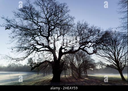 Il bellissimo campo da golf Beckenham Place Park, prima, Lewisham Council lo ha distrutto! Foto Stock