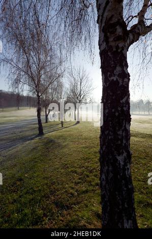 Il bellissimo campo da golf Beckenham Place Park, prima, Lewisham Council lo ha distrutto! Foto Stock