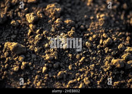 Terra nera con mounds. Terra illuminata dal sole prima di piantare semi e coltivare vegetali o soia Foto Stock