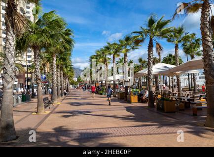 Palme e caffè sul lungomare nel centro di Fuengirola, Costa del Sol, Andalusia, Spagna Foto Stock