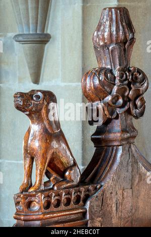 Santa Maria Maddalena, Sternfield. Suffolk, Inghilterra, Regno Unito Foto Stock